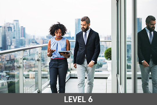 ABE | Business Management and Marketing Level 6