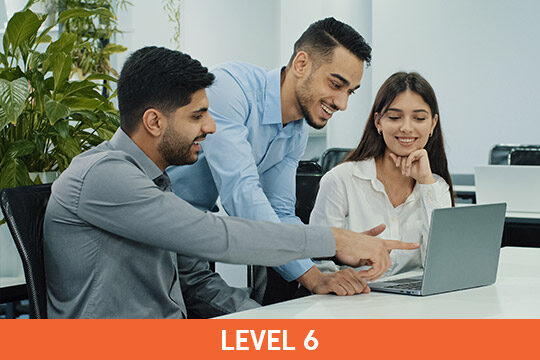 CIM Level 6 Professional Digital Marketing